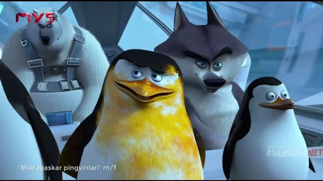 Madagaskar Pingvinlari - Barcha qismlar (Tarjima Multfilm HD) Uzbek Tilida | Мадагаскар Пингивинлар