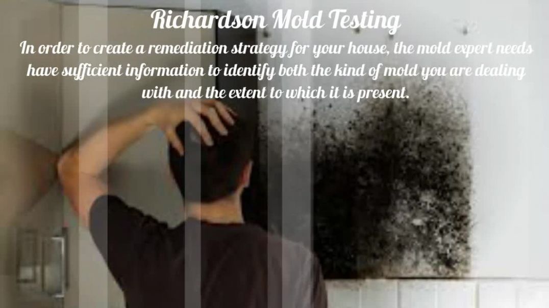 Richardson Mold Testing