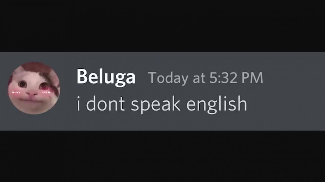 I don't speak English beluga