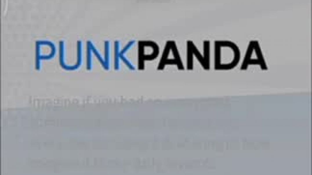 Punk Panda Как зарегистрироваться и установить мессенджер Punk Panda