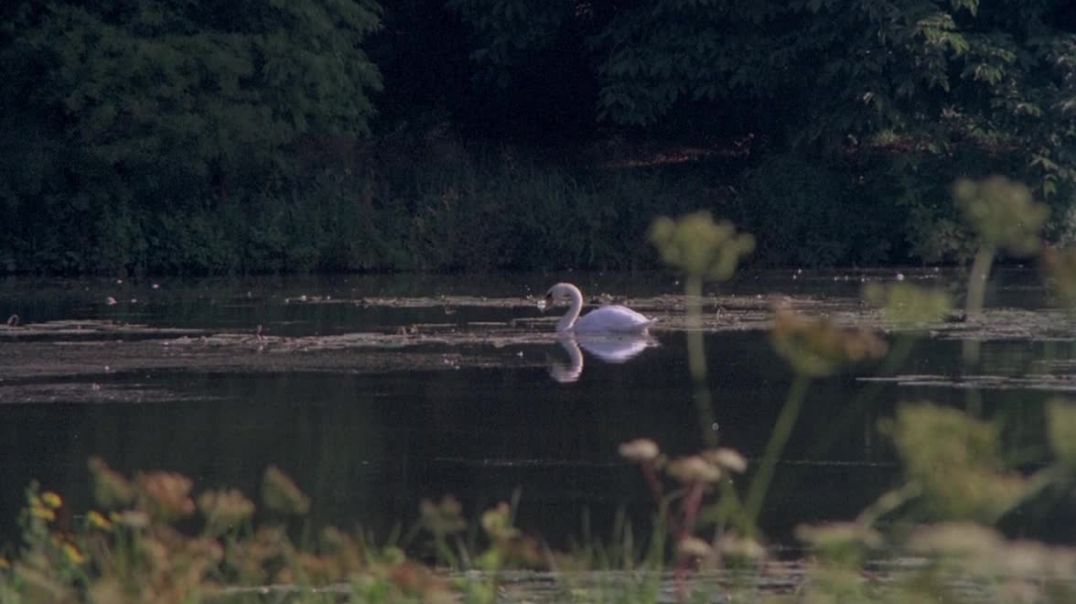 Озеро живых мертвецов _ Le lac des morts vivants (1981) Сергей Визгунов